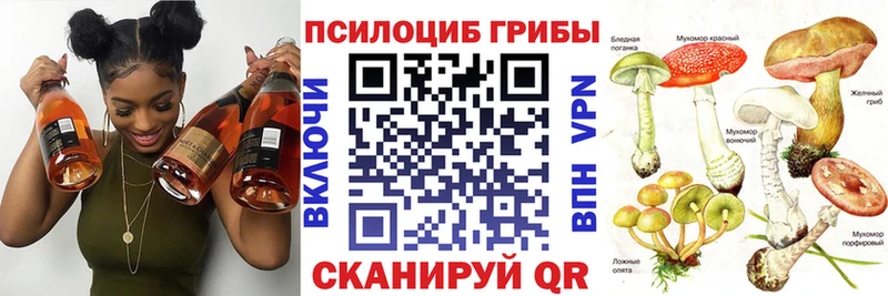 Галлюциногенные грибы GOLDEN TEACHER  кракен зеркало  Дальнереченск 