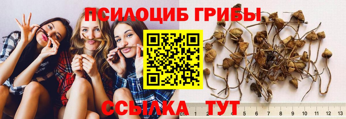Галлюциногенные грибы MAGIC MUSHROOMS Дальнереченск