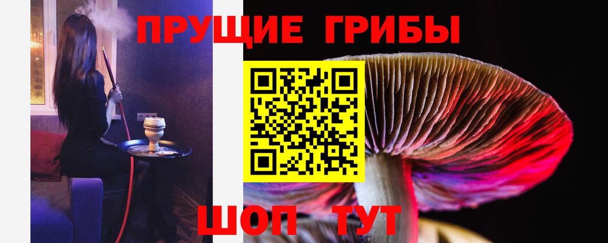 Дальнереченск  Галлюциногенные грибы мицелий  Вход с VPN 